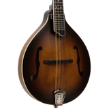 Gold Tone GM-55A A-Style Mandolin with Pickup
