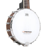 Gold Tone BUB Baritone-Scale Banjo Ukulele with Case