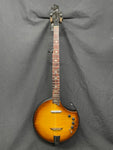Nechville Meteor Electric Banjo (used)