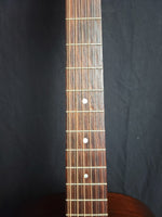 Martin D12-20 12-string Guitar, 1974 (used)