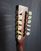 Martin D12-20 12-string Guitar, 1974 (used)