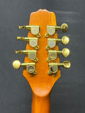 Gold Tone OM-800+ acoustic-electric Octave Mandolin (used)