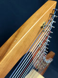 Steen Pacer-B 27-String Harp (used)