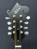 Gibson F-9 Mandolin (used)