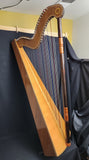 L. Ruiz Diaz Custom Concert Model Paraguayan Harp (used) - Local Pickup Only