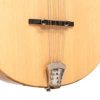 Gold Tone BZ-500 Acoustic-Electric Irish Bouzouki Cittern Octave Mandolin
