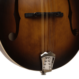 Gold Tone GM-55A A-Style Mandolin with Pickup