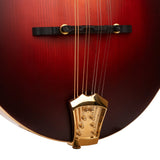 Gold Tone GM-80 F-Style Mandolin w/Pickup