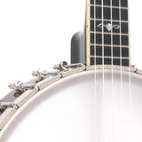 Gold Tone CEB-5 Cello Banjo
