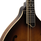 Gold Tone GM-55A A-Style Mandolin with Pickup