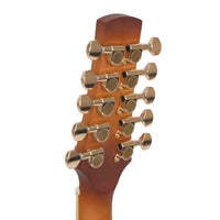 Gold Tone F-10 10-string Acoustic-Electric Mandolin