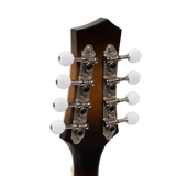 Gold Tone GM-55A A-Style Mandolin with Pickup