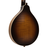 Gold Tone GM-55A A-Style Mandolin with Pickup