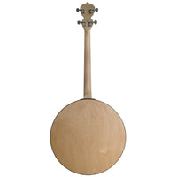 Deering Goodtime Two 17-fret Tenor Banjo w/Resonator