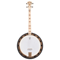 Deering Goodtime Two 17-fret Tenor Banjo w/Resonator