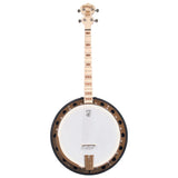 Deering Goodtime Two 17-fret Tenor Banjo w/Resonator