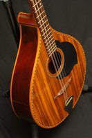 Joe Foley Irish Bouzouki (used)