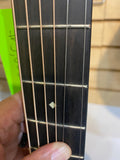 Taylor Custom GP Guitar (used)