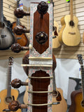 Varanasi Market Radha Krishna Sitar w/ Pickup (used)