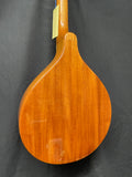 Gold Tone Mandola (used)