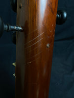 Bina Female Tanpura (used)