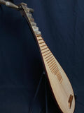 Chinese Pipa with Dragon Headstock Carving (used)