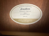 Breedlove Pursuit Nylon Guitar w/Quarter Tone Frets (used)