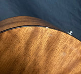 Breedlove Pursuit Nylon Guitar w/Quarter Tone Frets (used)