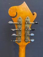 Blevins *Custom* F-Style Mandolin (used)