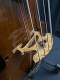 1922 Louis Audinot Viola d'Amore (used)