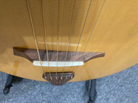 Veillette Flyer Guitar (used)