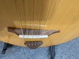 Veillette Flyer Guitar (used)
