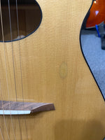 Veillette Flyer Guitar (used)