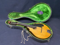 Lyon & Healy Washburn Mandolin (used)