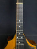 Lyon & Healy Washburn Mandolin (used)