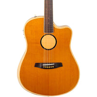 LR Baggs AEG-1 Torrefied Spruce Acoustic-Electric Guitar