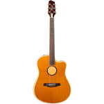 LR Baggs AEG-1 Torrefied Spruce Acoustic-Electric Guitar