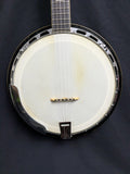 Iida 5-String Resonator Banjo (used)