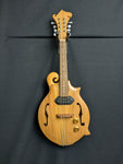 Bill Reigel Acoustic Electric Mandolin (used)