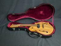 Bill Reigel Acoustic Electric Mandolin (used)