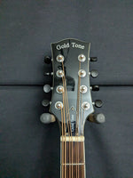 Goldtone MandoCello (used)