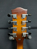 Goldtone MandoCello (used)