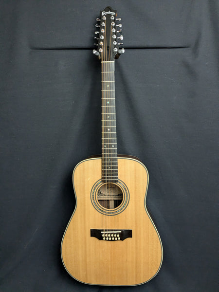 Goldman 12-String Dreadnought Acoustic Guitar (used)