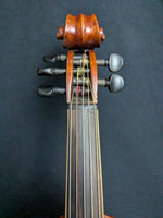 Unmarked Chinese 5-string Viol (used)