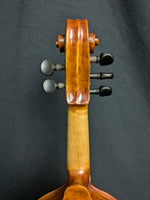 Unmarked Chinese 5-string Viol (used)