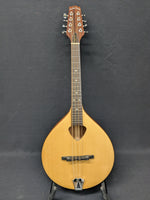 Gold Tone Mandola (used)