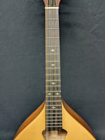 Gold Tone Mandola (used)