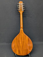 Gold Tone Mandola (used)