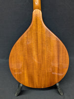 Gold Tone Mandola (used)