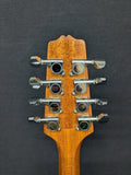 Gold Tone Mandola (used)